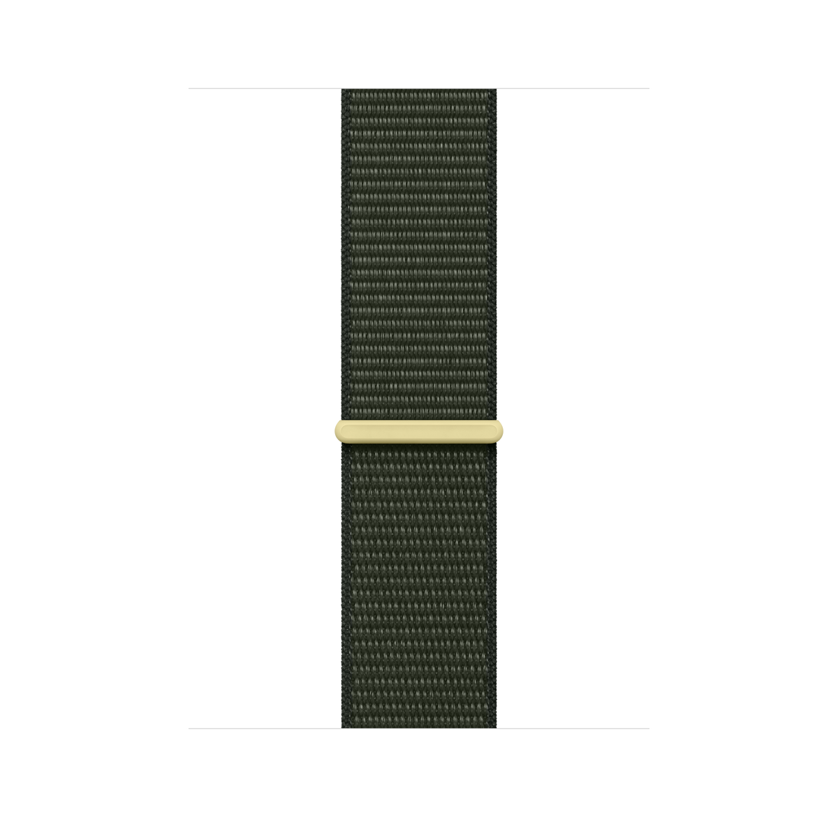 45mm Cypress Sport Loop