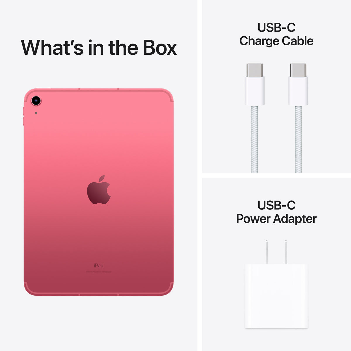 iPad_10th_generation_Cellular_Pink_PDP_Image_Fall23_Position-8__en-US