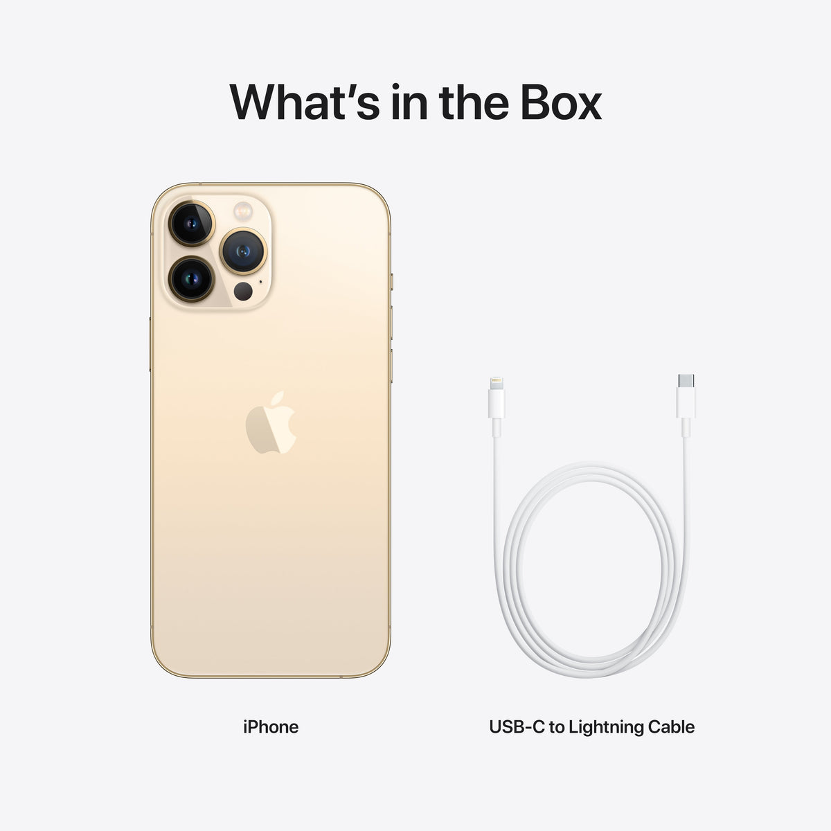 iPhone 13 Pro Max