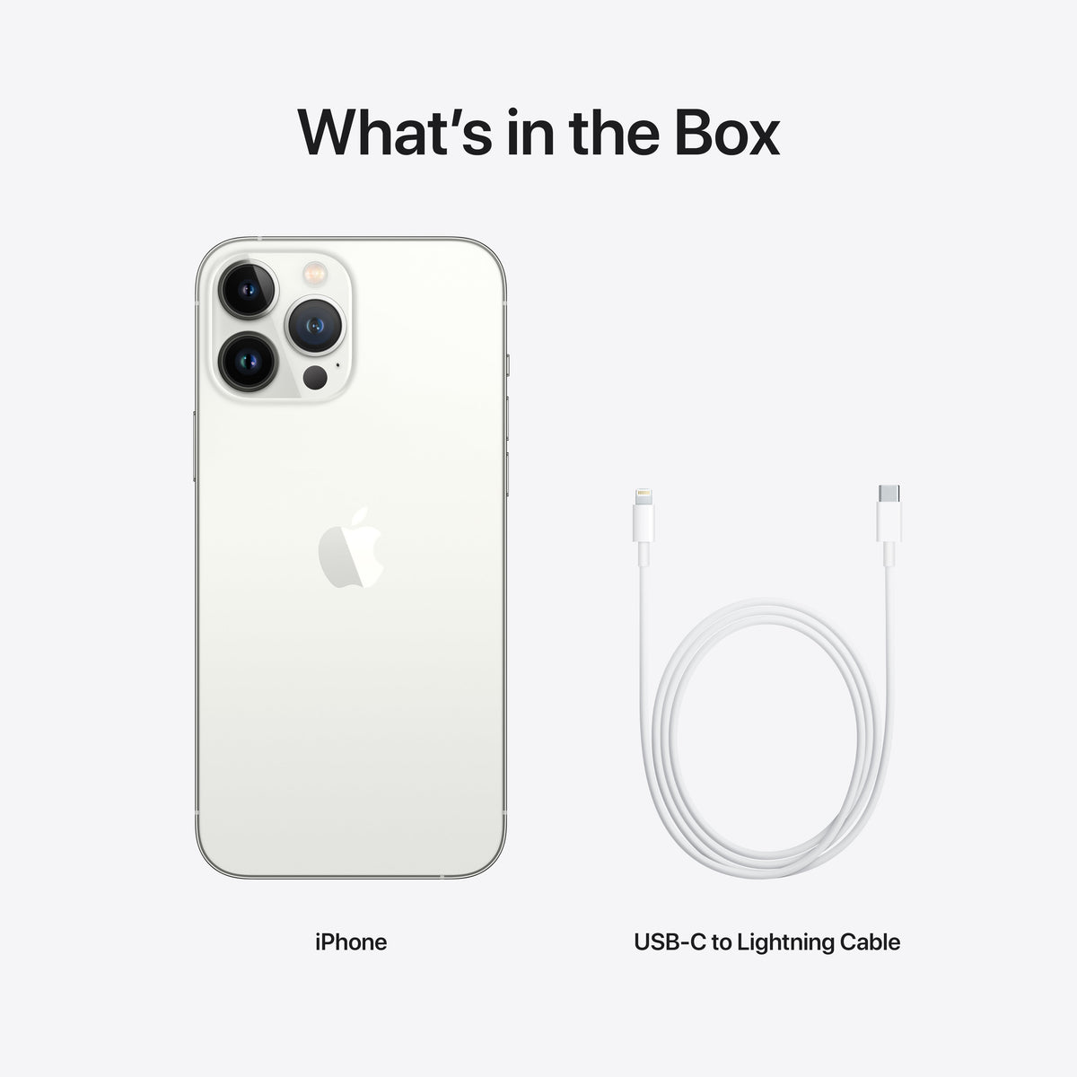iPhone 13 Pro Max