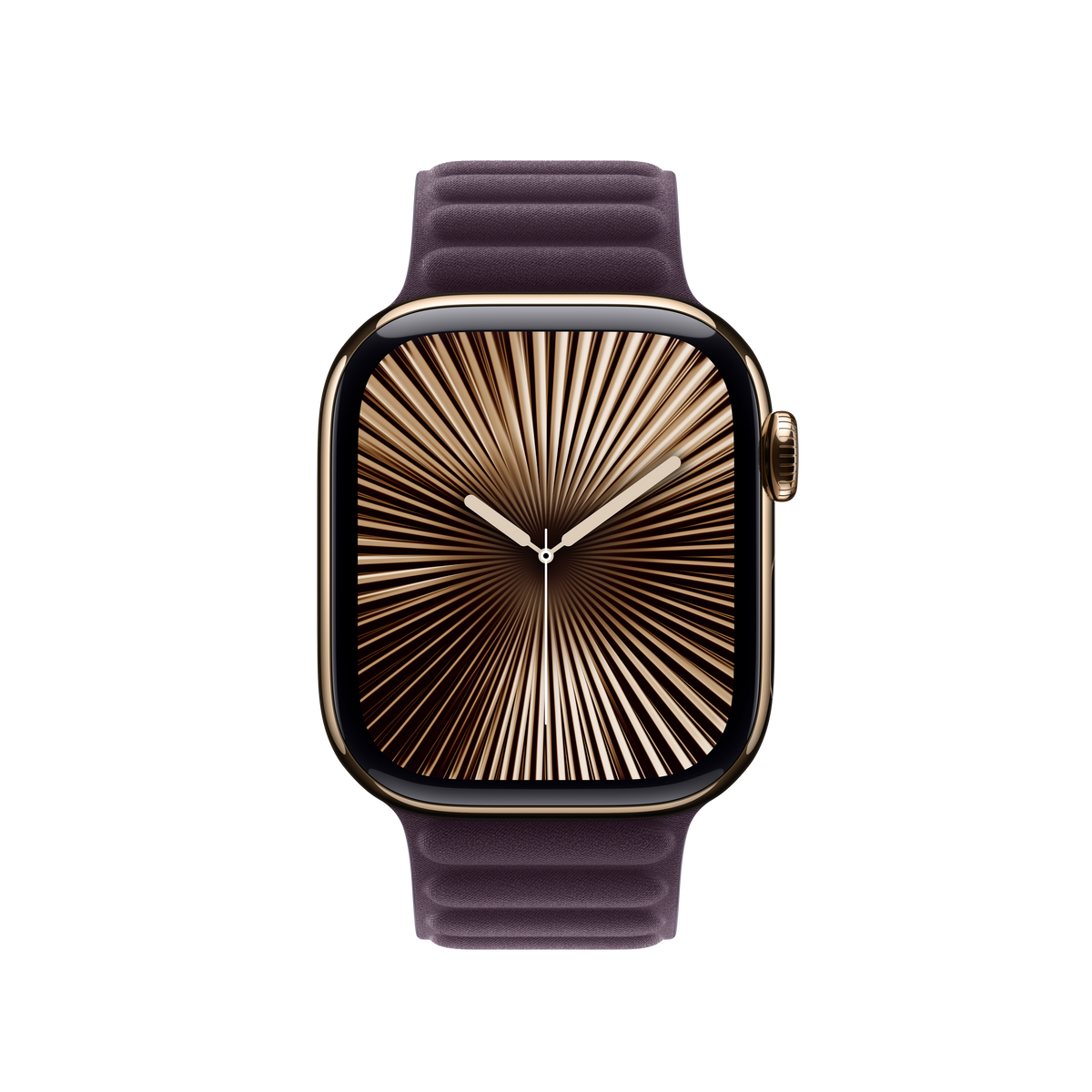 42mm-blackberry-magnetic-link-m-l_MXWK3ref_AV2