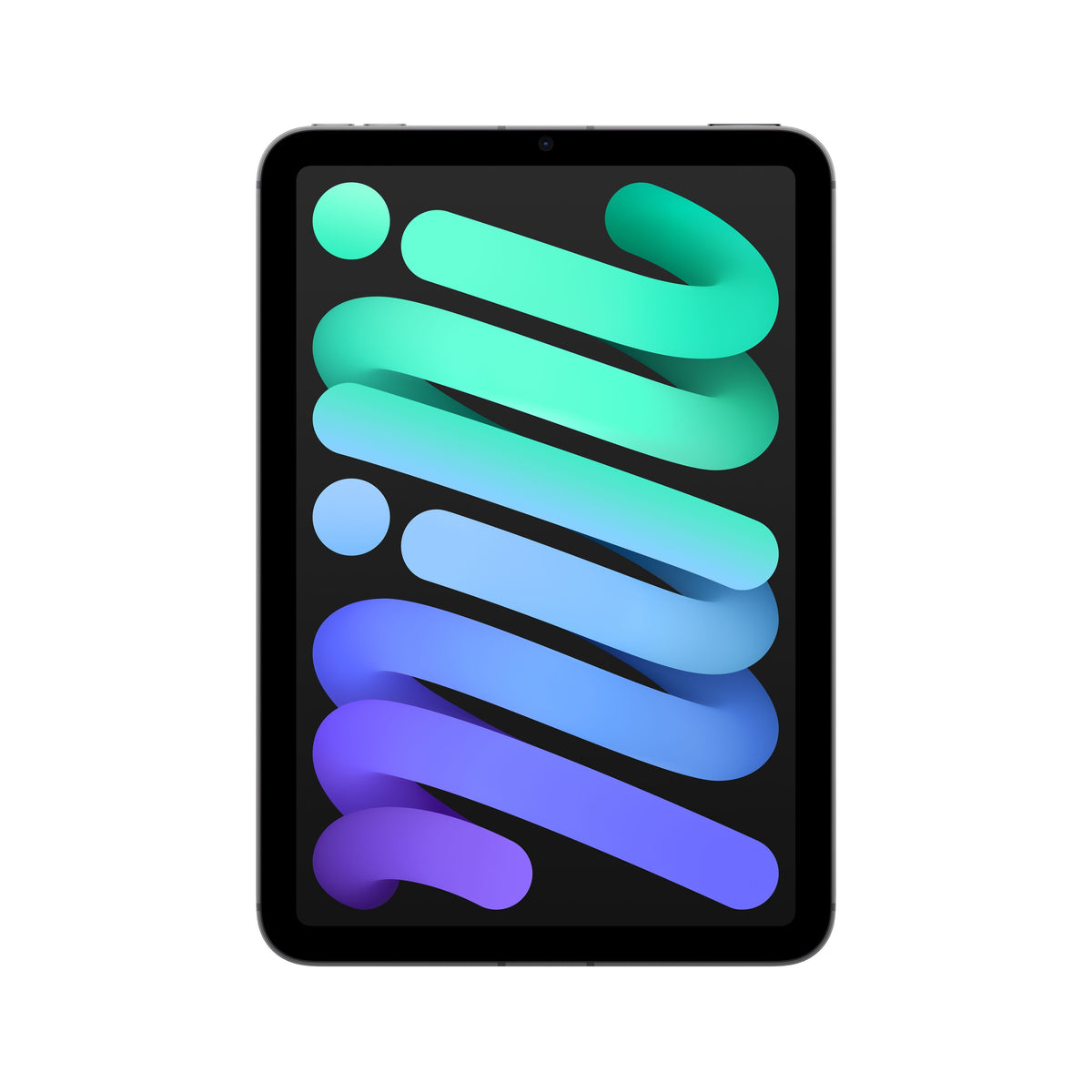 iPad_mini_Space_Gray_PDP_Image_Position_1a_Cellular__en-US