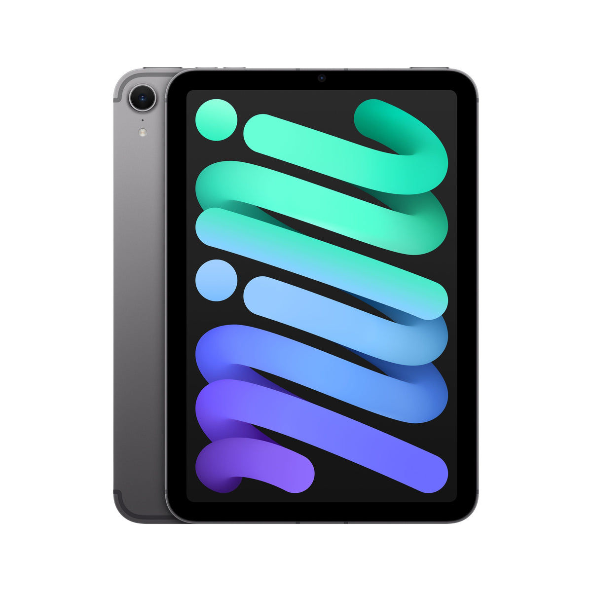 iPad_mini_Space_Gray_PDP_Image_Position_1b_Cellular__en-US
