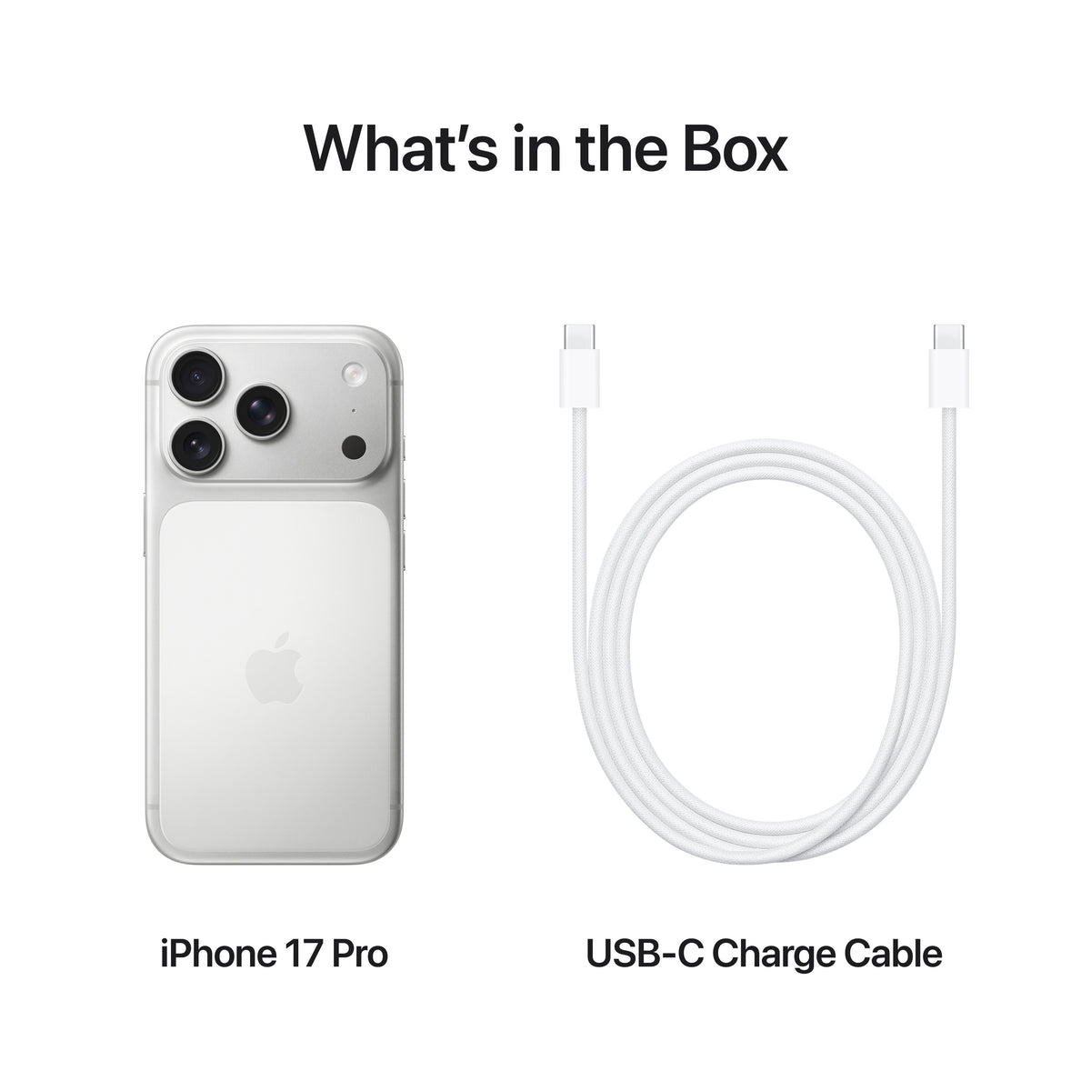 iPhone_17_Pro_Silver_PDP_Image_Position_8__en-US