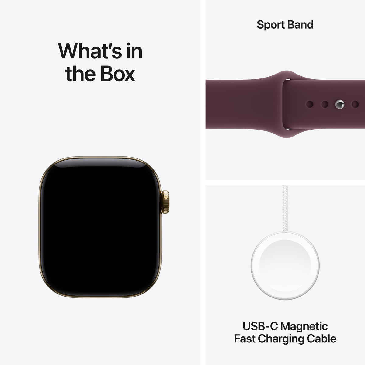 Apple_Watch_Series_12_42mm_GPS_plus_Cellular_Radiant_Gold_Titanium_Sport_Band_Burgundy_PDP_Image_Position_8__USEN