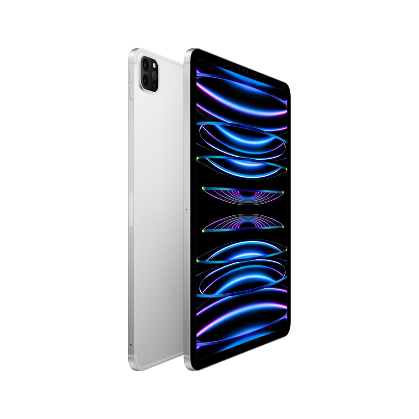 iPad_Pro_Cellular_11_in_4th_generation_Silver_PDP_Image_Position-2_5G__en-US