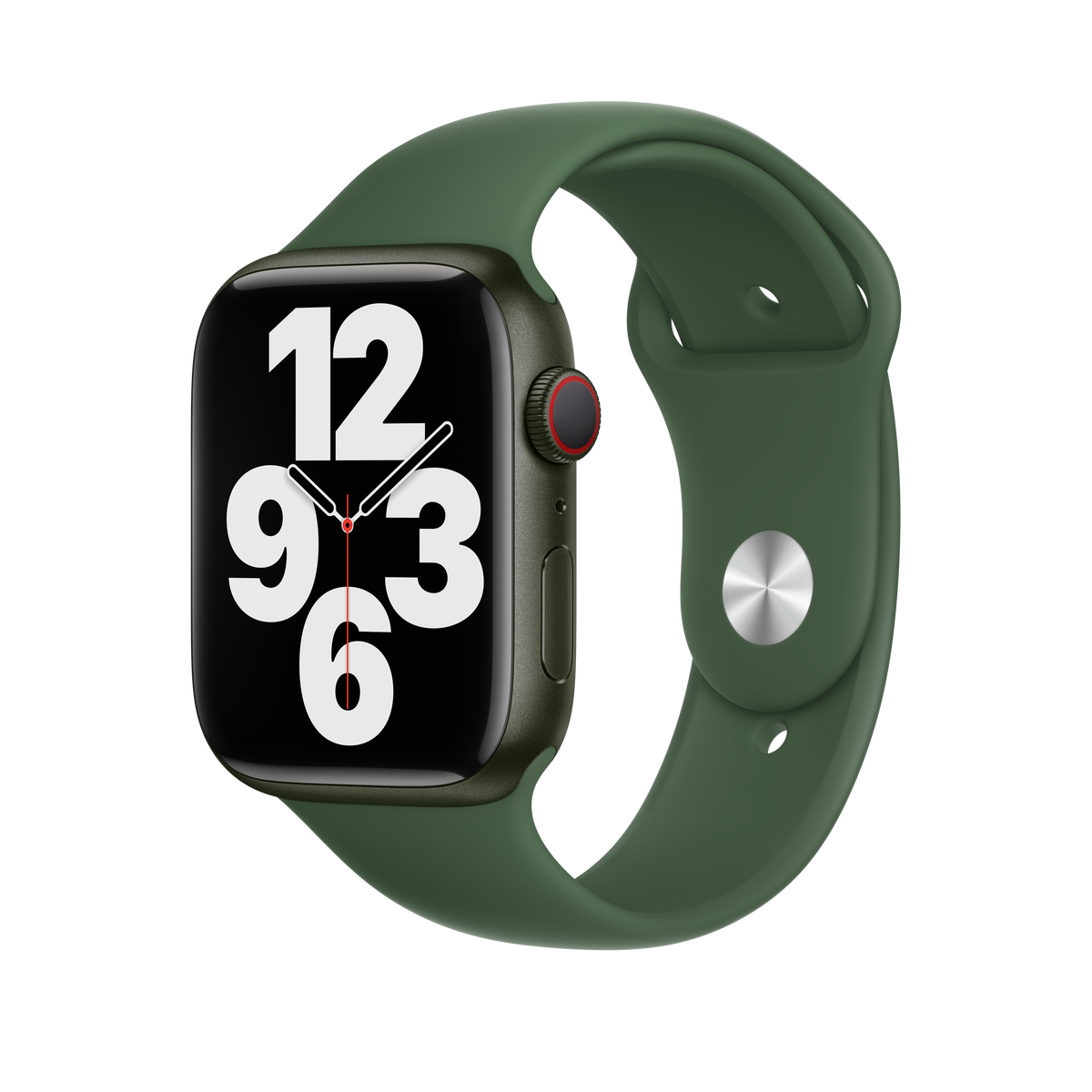 Correa deportiva Clover de 45 mm - Regular