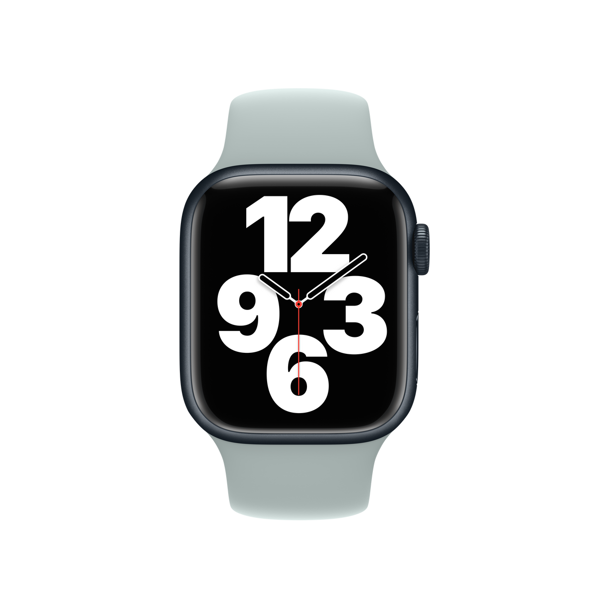 Correa deportiva suculenta de 41 mm (talla pequeña/mediana)