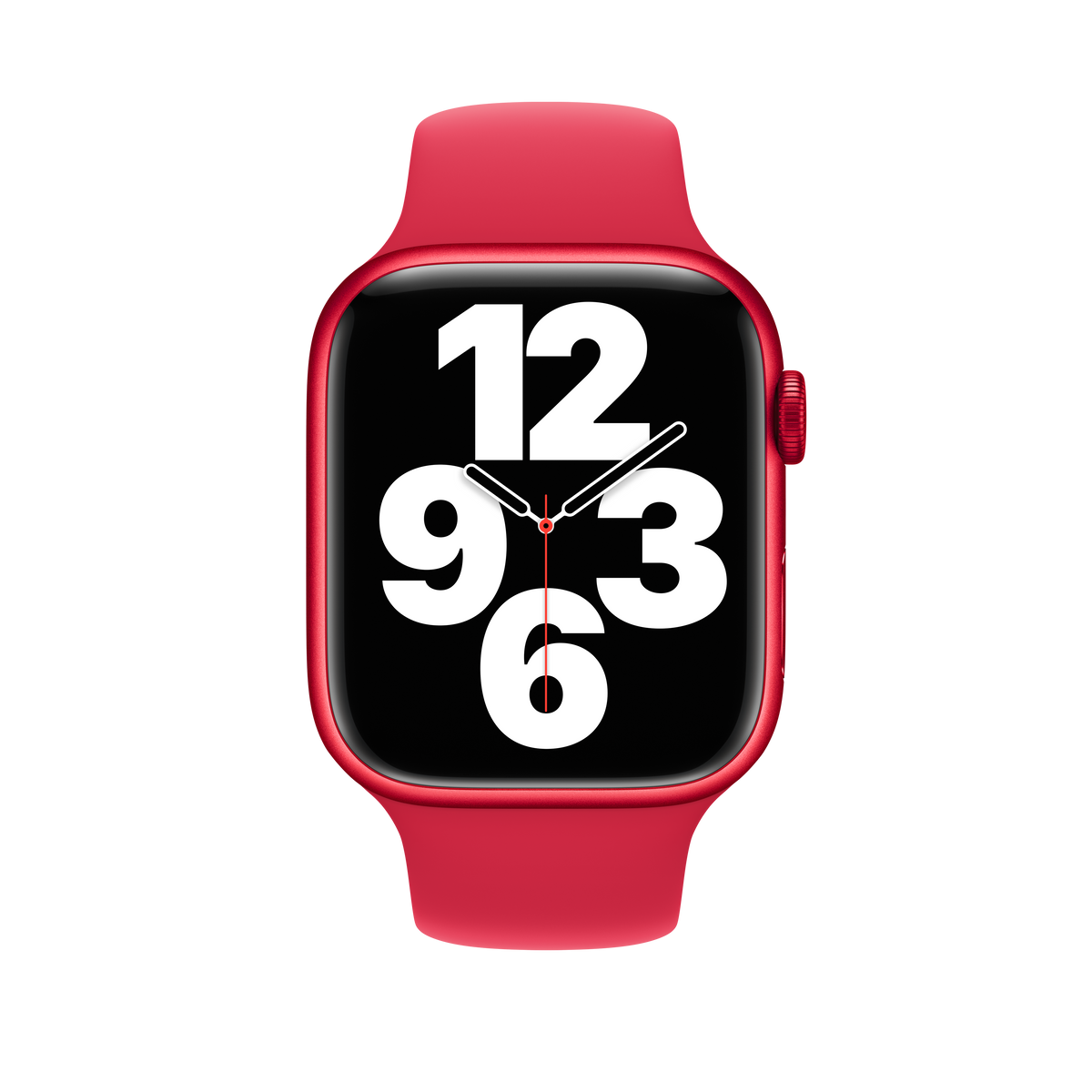 Correa deportiva (PRODUCT) RED de 45 mm - M/L