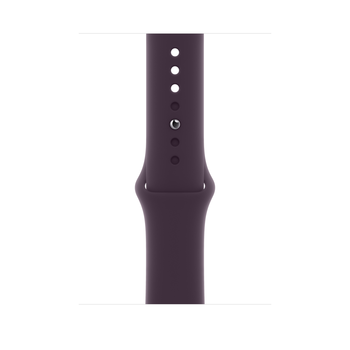 Correa deportiva Elderberry de 45 mm (talla pequeña/mediana)