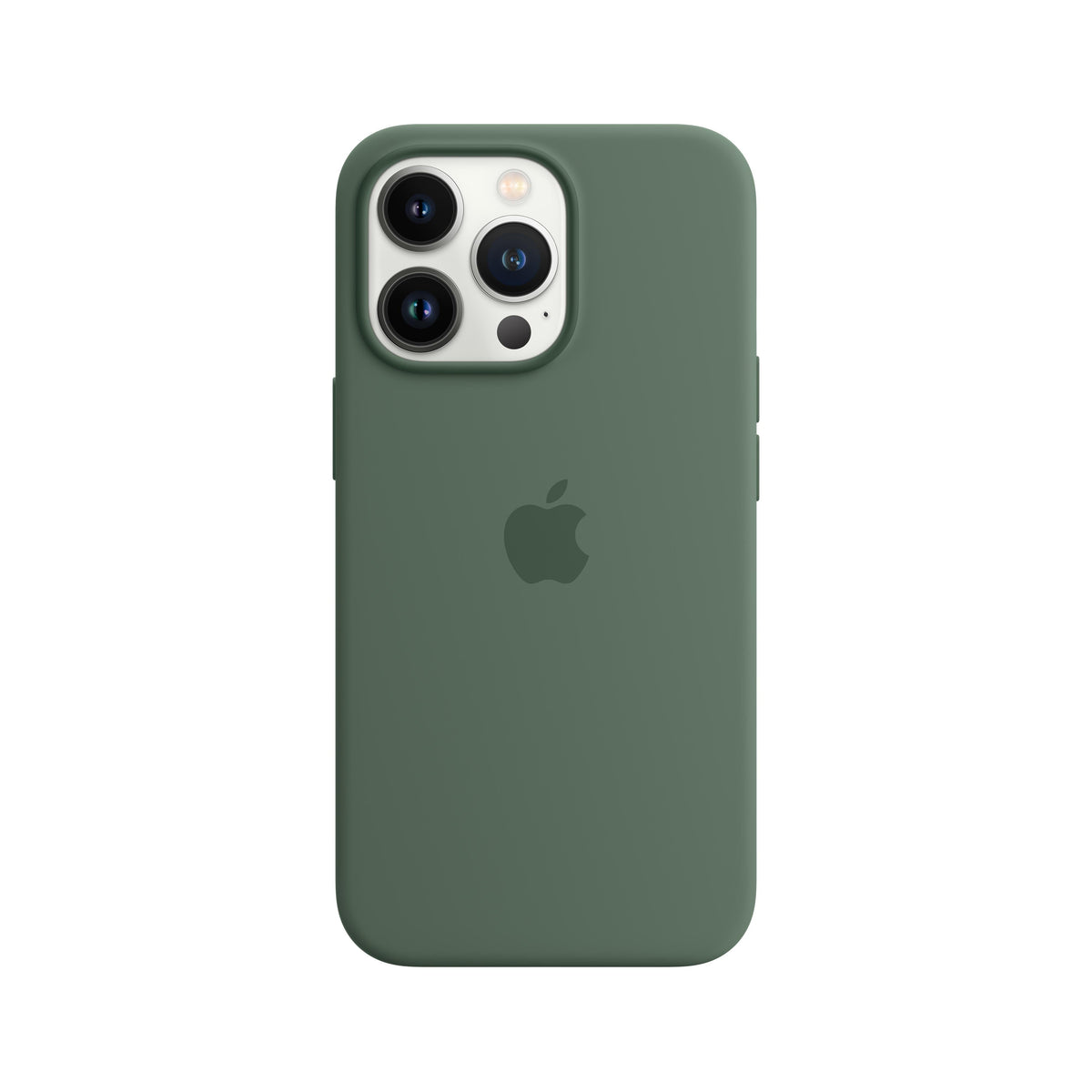 Funda de silicona para iPhone 13 Pro con MagSafe - Eucalipto