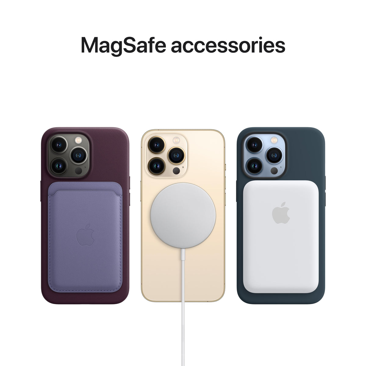 Funda de silicona para iPhone 13 Pro con MagSafe - Eucalipto